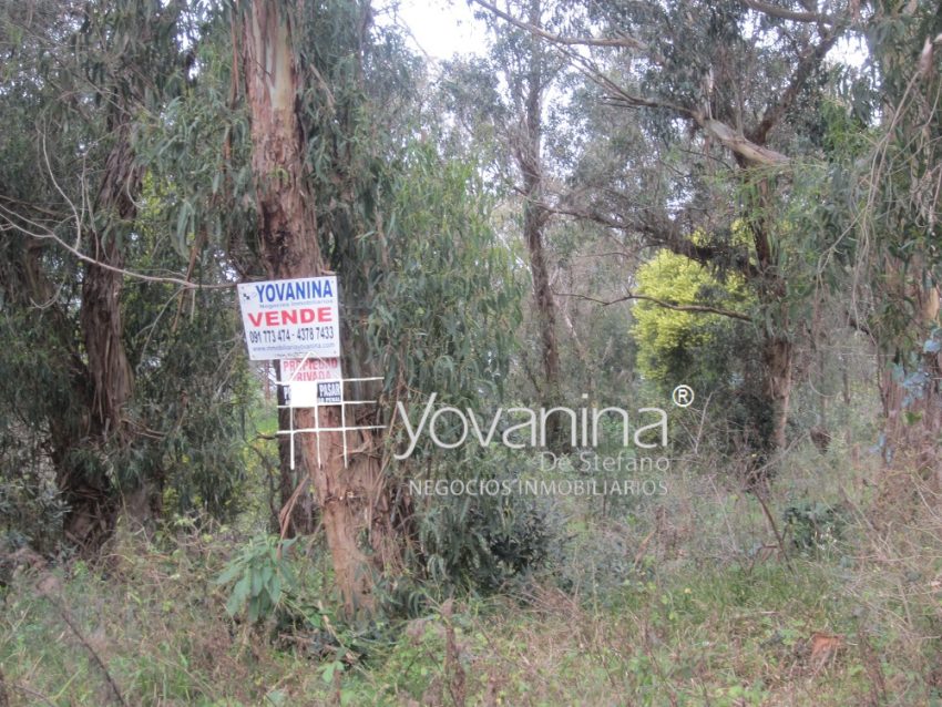 Terreno En Sierras Del Mar A Dos De Playa Entre Cuchilla Alta Y Santa Ana