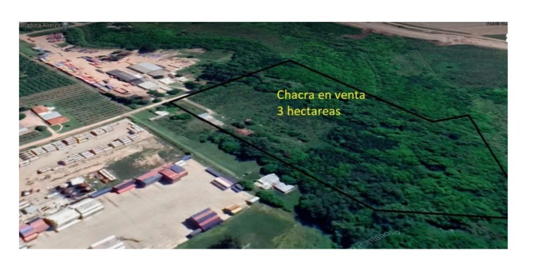 3 hectáreas