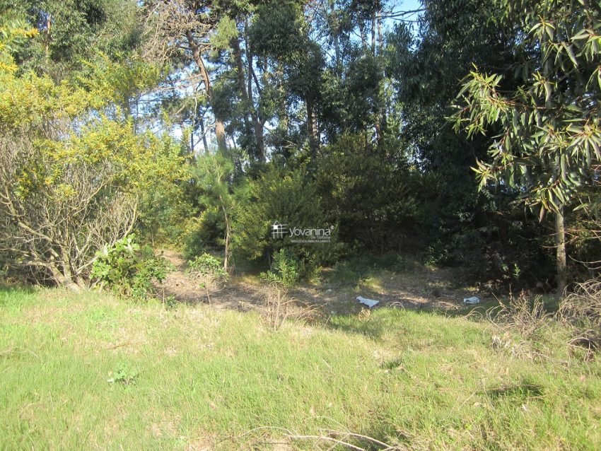 dos terrenos frente a ruta cuchilla alta