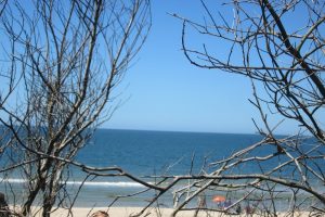 Casas y terrenos en venta en Canelones – Inmobiliaria Yovanina