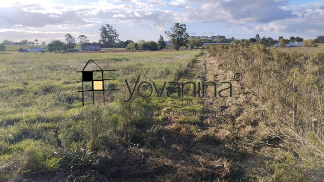 Campo de 2has en ruta 32 Canelones Inmobiliaria Yovanina