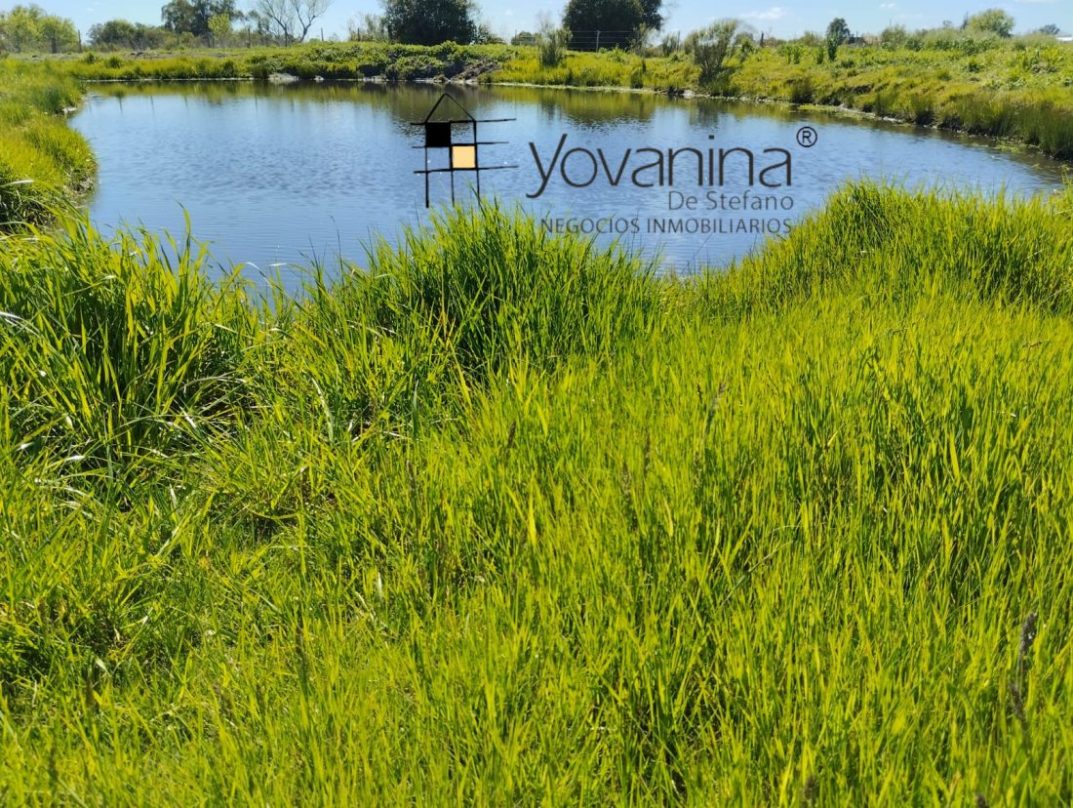 Campo de 2has en ruta 32 Canelones Inmobiliaria Yovanina