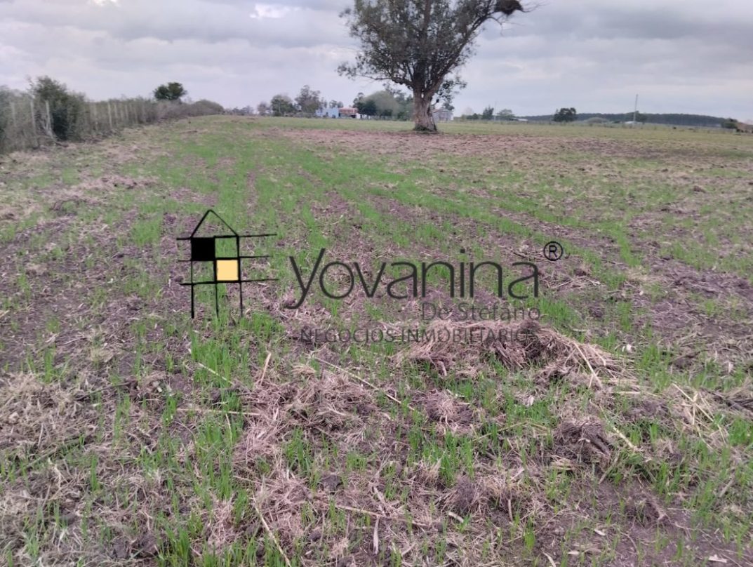 Campo de 2has en ruta 32 Canelones Inmobiliaria Yovanina