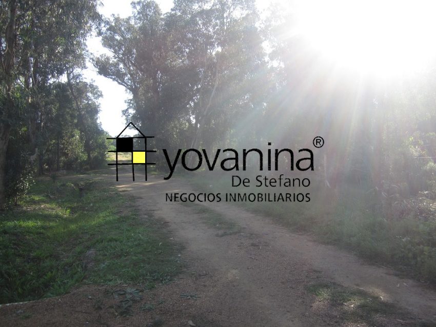 Terreno a 3 y media de Playa Sierras del Mar