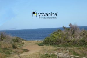 Terreno frente a Rambla en Sierras del Mar – Cuchilla Alta Ref Y302