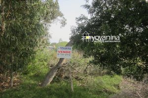 Terreno en Sierras del Mar a 5 Cuadras y Media de la Playa Ref Y322          