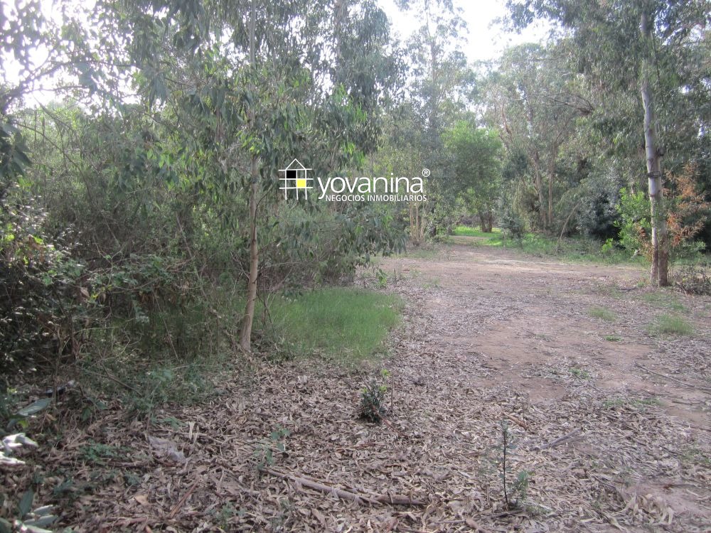 Terreno en venta en Sierras del Mar – Santa Ana, Canelones – a 3 cuadras y media de playa