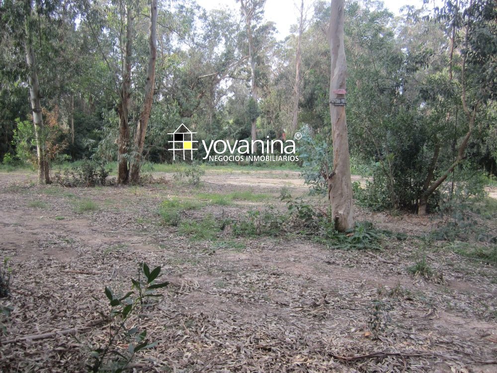 Terreno en venta en Sierras del Mar – Santa Ana, Canelones – a 3 cuadras y media de playa