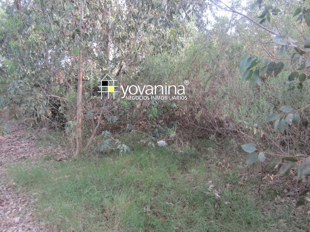 Terreno en venta en Sierras del Mar – Santa Ana, Canelones – a 3 cuadras y media de playa