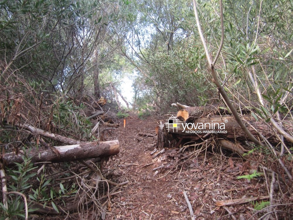 Terreno en Balneario Biarritz Canelones