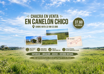 Chacra agrícola de 37 Hectáreas en Canelon Chico Ref Y330