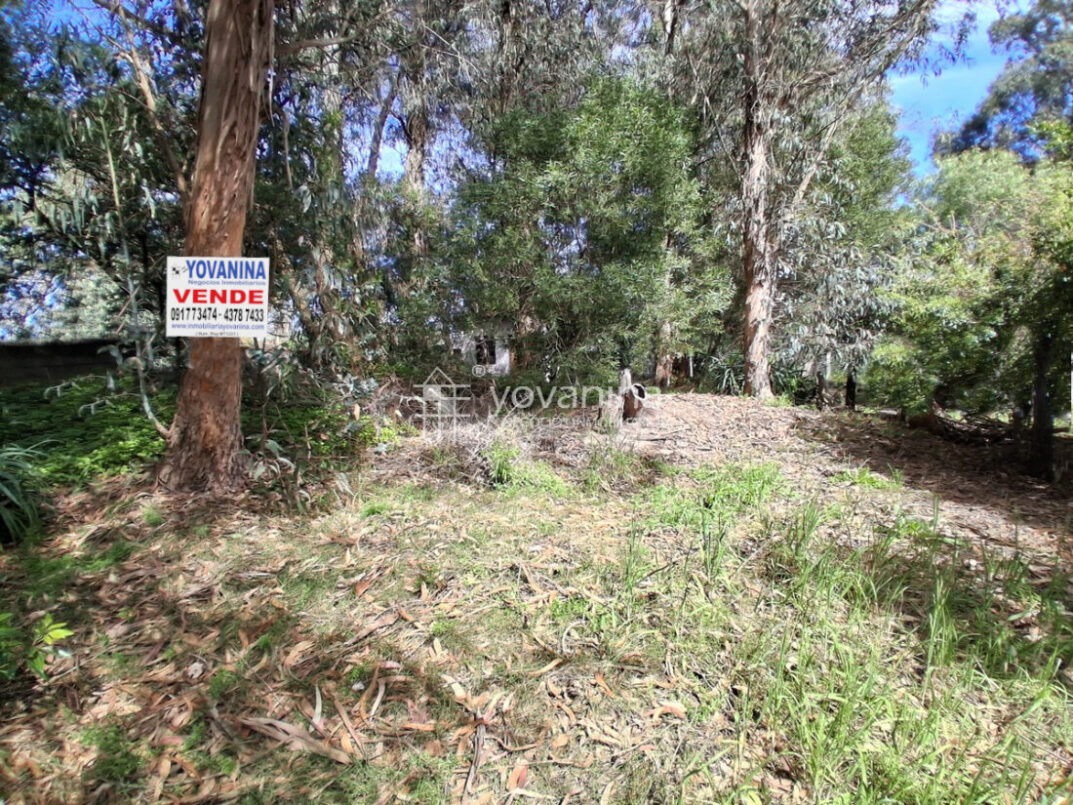 1 Ingreso a terreno en Cuchilla Alta