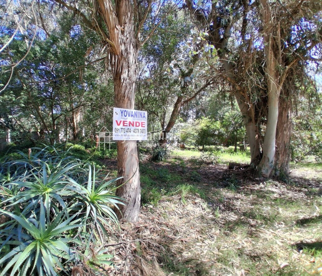 Foto del cartel de venta terreno Cuchilla Alta